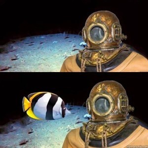Create meme: meme about the pressure the diver, I at a depth of 300 metres meme, diver