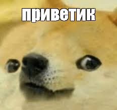 Создать мем: собака из мемов, doge мемы, грустный doge