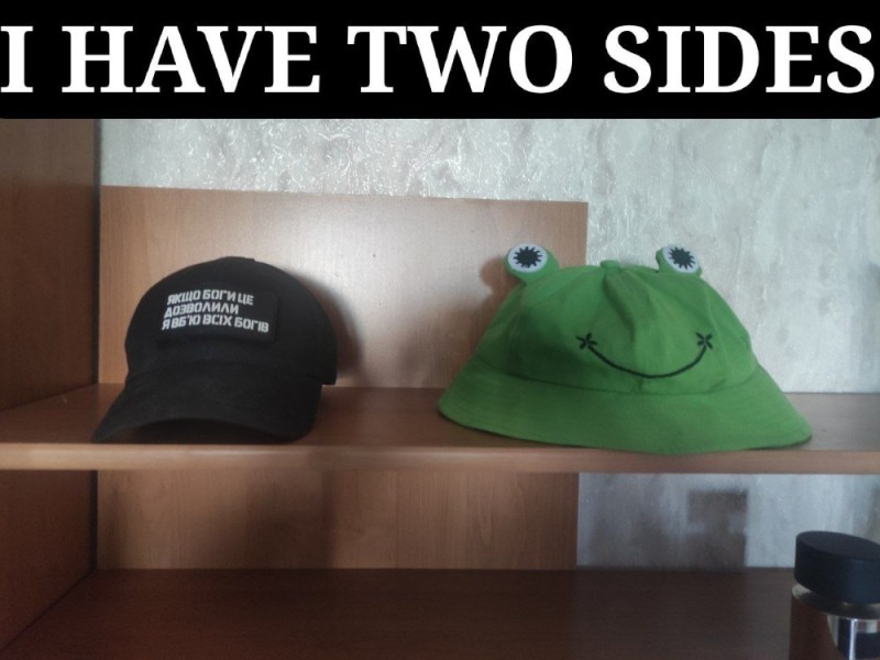 Create meme: toad in panama, The frog hat, panama hat with a frog