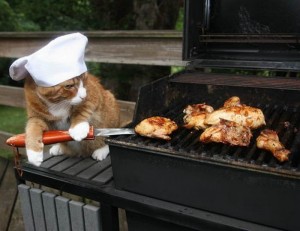 Создать мем: bbq, grill, кот кулинар