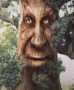 Create meme: tree, the tree with eyes, figure