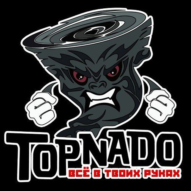 Create meme: tornado emblem, team logo, tornado logo