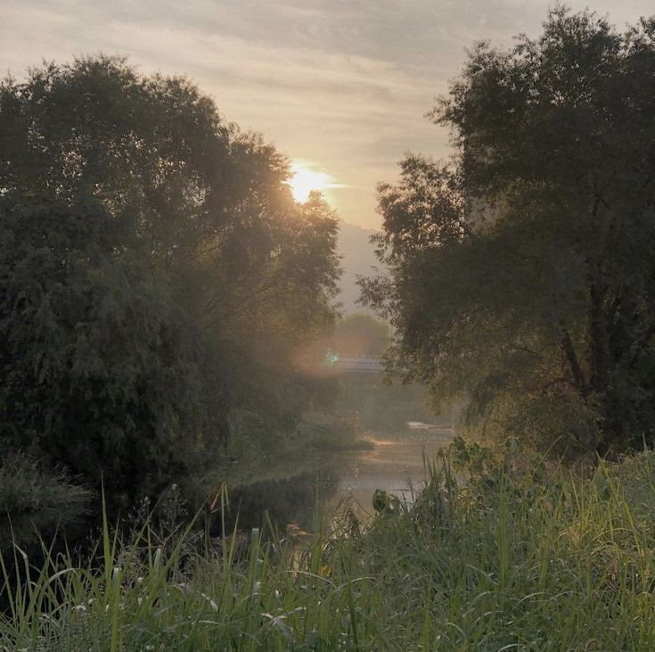 Create meme: morning landscape, fog morning, morning on the river