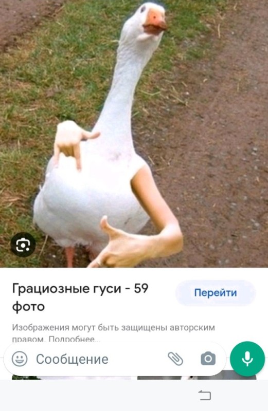 Create meme: meme goose , goose with hands, goose funny