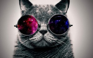 Создать мем: steam, sunglasses, cute cat