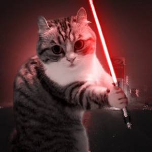 Создать мем: кот играется с лазером, котик с лазером, кот джедай