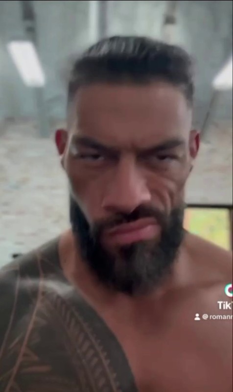 Create meme: male , roman reigns 2023 wwe, Crown John Cena