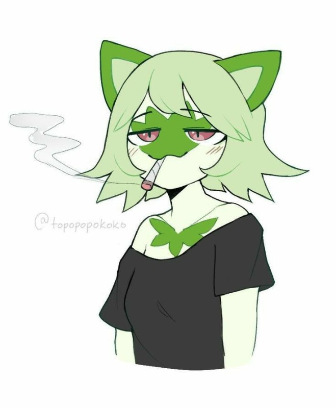 Создать мем: аниме, monster girl, weed cat