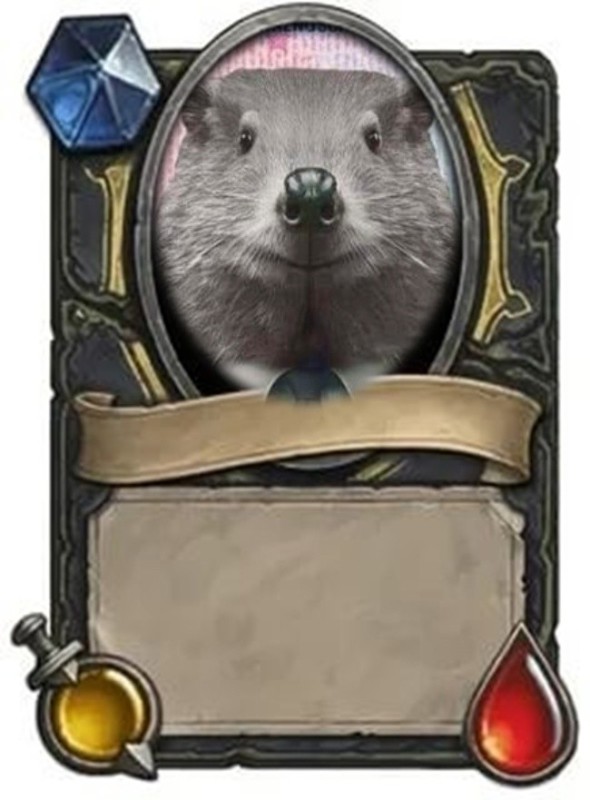 Create meme: hearthstone cards, cards hearthstone, The rat King of Heartstone