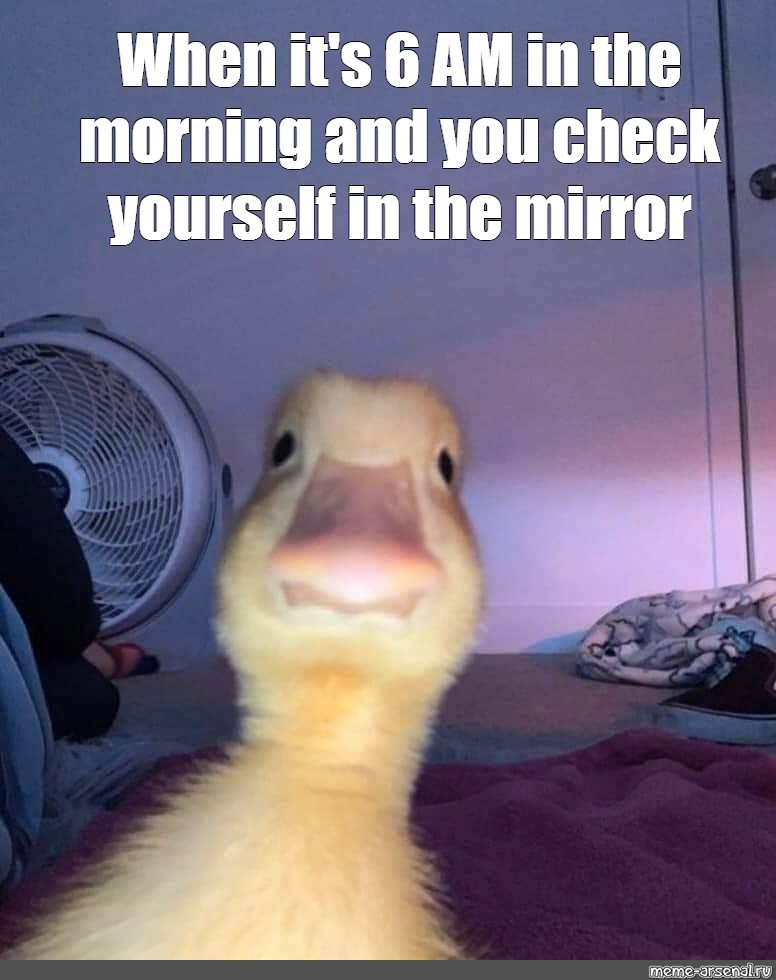 Мем: "When it's 6 AM in the morning and you check yourself in the...