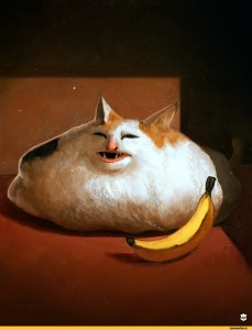 Create meme: Anastasia cat, fat ass, cat