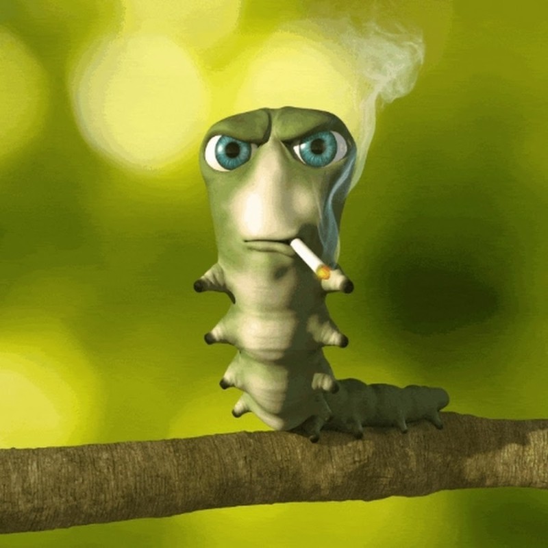 Создать мем: червяк с сигаретой, гусеница мем, гусеница с сигаретой мем