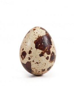 Create meme: quail eggs, quail eggs on white PNG, quail egg photo on the white background