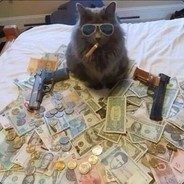 Create meme: cat mafia, cat mafia, cat dank memes