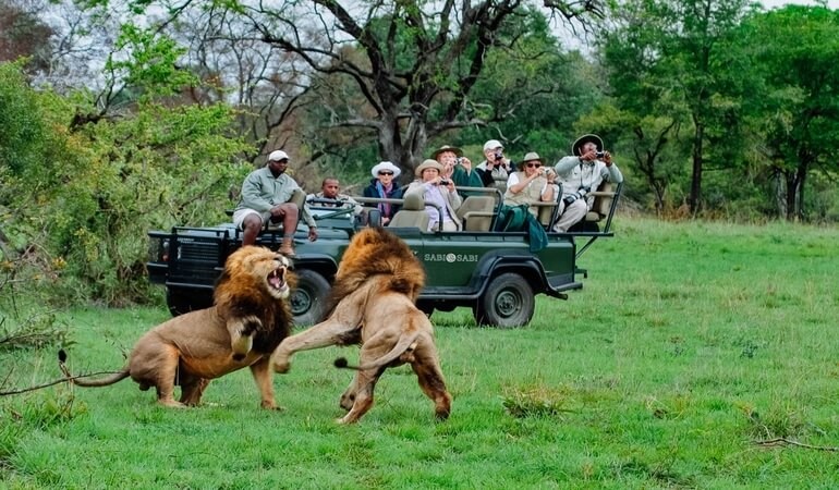 Create meme: South africa safari, safari park, South africa