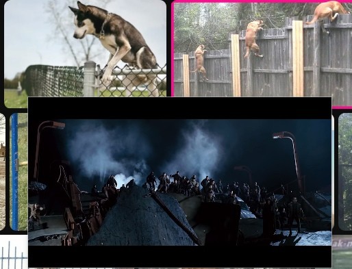 Create meme: dog over the fence, fence for dogs, fence from dogs