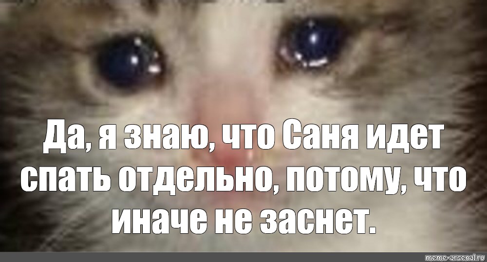 Грустное видео мем. Плачущий кот Мем. Котик плачет Мем. Спокойной ночи без сердечка. Спокойной ночи без сердечка Мем.