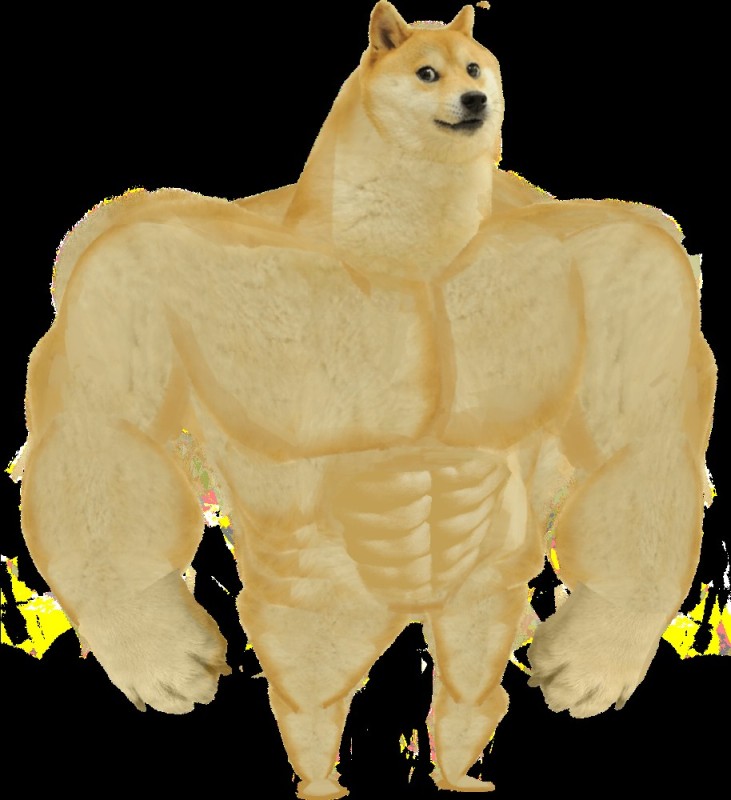 Create meme: doge is a jock, the dog is a jock meme, pumped up dogs