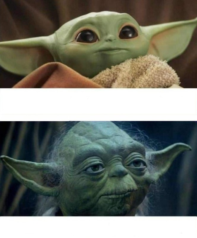 Create meme: yoda grogu, star wars , star wars Yoda