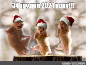 Новогодние фото пьяных русских девушек фото