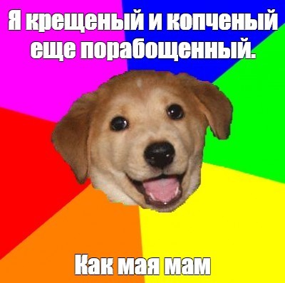 Создать мем: мемы 1111г, advice dog, мемы