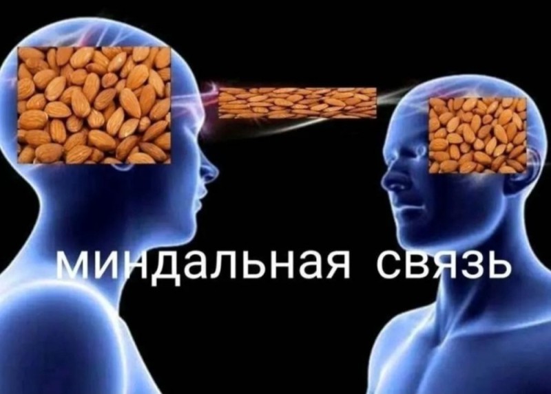 Create meme: the almond connection meme, almond connection memes, almond connection