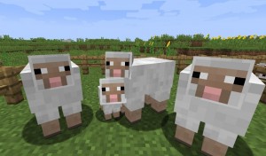 Создать мем: лицо овцы в майнкрафте, овца из майнкрафта, minecraft