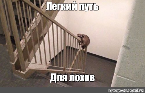 Отправить ВКонтакте. #карьерная лестница. #мем енот. из шаблона. 