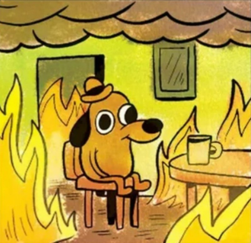 Create meme: meme dog in a burning house, this is fine , a dog in a burning house meme