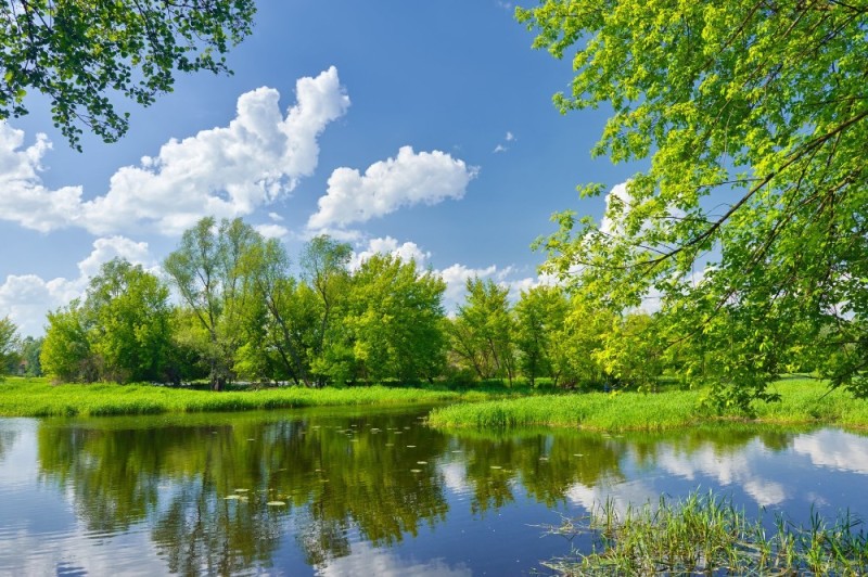 Create meme: landscape with a river, nature of Russia summer, summer nature