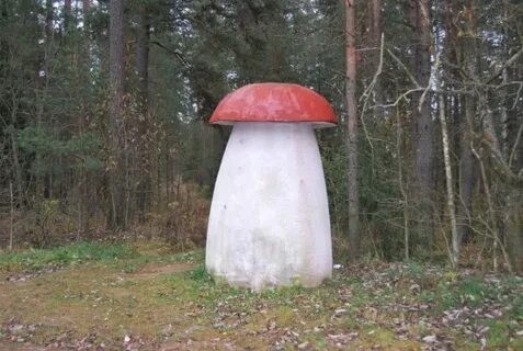 Создать мем: гриб, туалет в виде гриба, благородные грибы