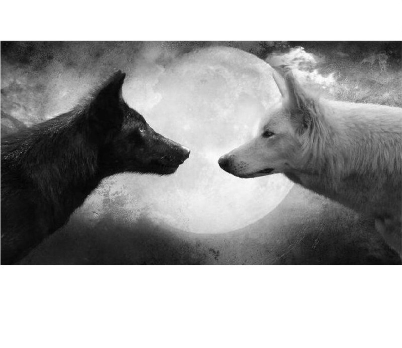 Создать мем: чёрно белый волк, два волка добро и зло, черно белый волк