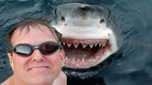 Create meme: selfies before death with a shark, deadly selfie, the worst selfies with sharks