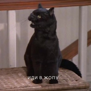 Create meme: seylem saberhagen, the cat Salem the tears, the cat is Salem from Sabrina's tears