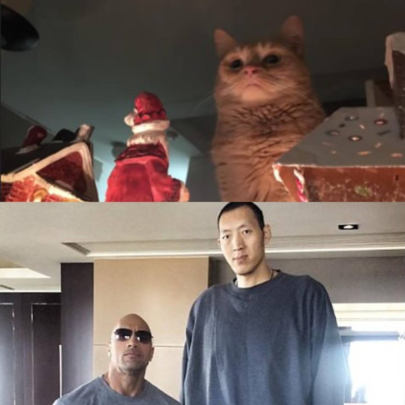 Create meme: New Year's memes with cats, Johnson rock minmin, cat meme 