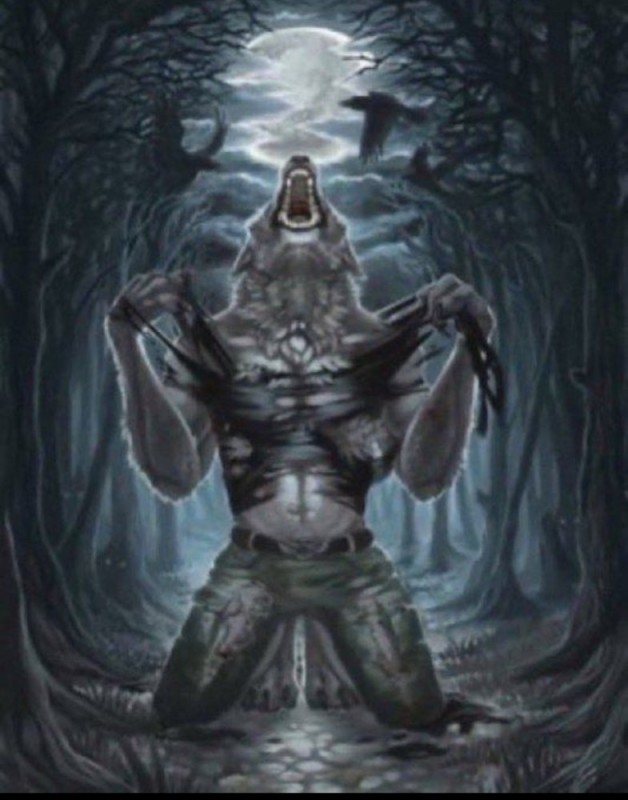 Create meme: werewolf art, photos of werewolves, wolf monster