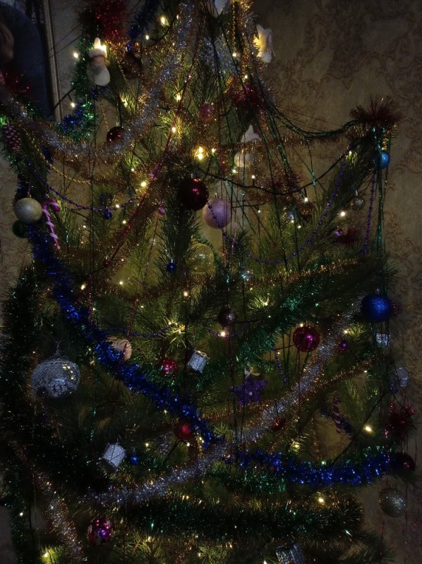 Create meme: Christmas tree , a live Christmas tree , Christmas pine