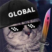 Создать мем: аватарка глобал котики, кот аватарка global, аватарки для кс го