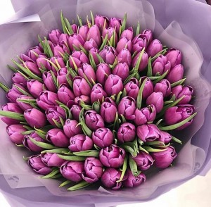Create meme: tulips, a bouquet of tulips, tulips bouquet