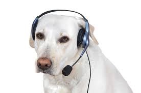 Создать мем: собака с микрофоном, собака техподдержка, собака