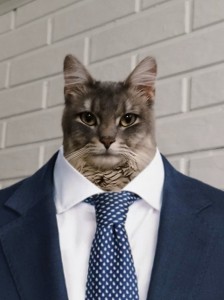 Создать мем: кот в деловом костюме, кот, кот в костюме