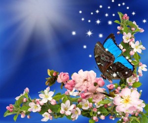 Create meme: images for desktop full screen beautiful flowers, Screensaver on your desktop, butterfly on flower
