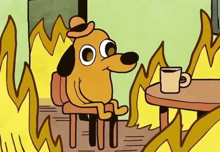 Create meme: a dog in a fire meme, a meme with a dog on fire, dog in the burning house
