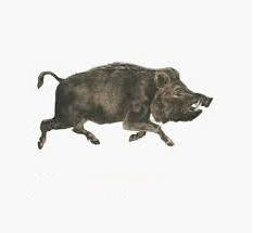 Create meme: sticker bull, dog, boar