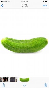 Create meme: cucumbers, cucumber without background, cucumber picture