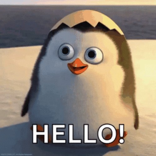 Создать мем: пингвины мадагаскара прапор, пингвины мадагаскара, пингвинчик