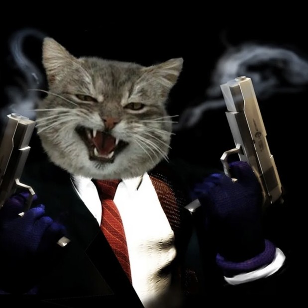 Создать мем: игра хитман, кот, хитмэн: агент 47