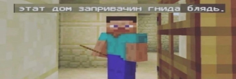 Create meme: minecraft memes , this house is locked, minecraft Steve