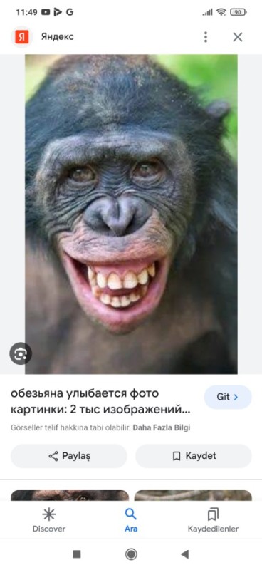 Создать мем: обезьяна улыбается роберт, бонобо улыбка, улыбка обезьяны