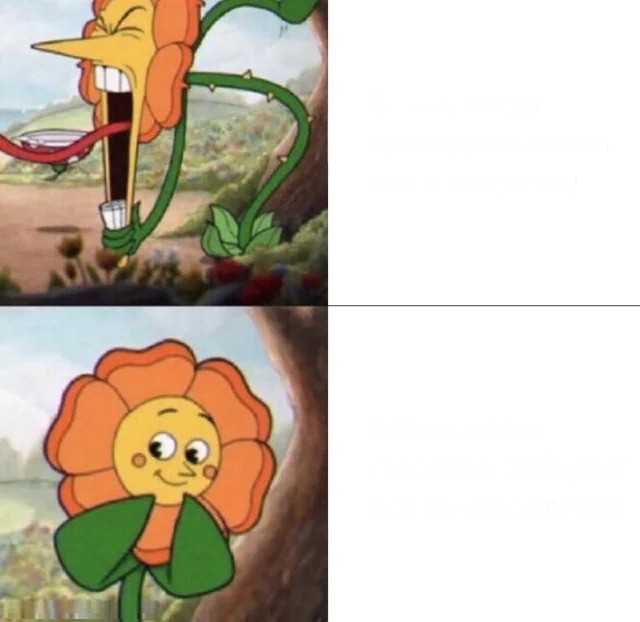 Create meme: kaphead flower, screenshot , Meme flower from cuphead